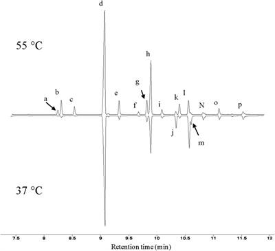 The Effects of Carbon Source and Growth Temperature on the Fatty Acid Profiles of Thermobifida fusca
